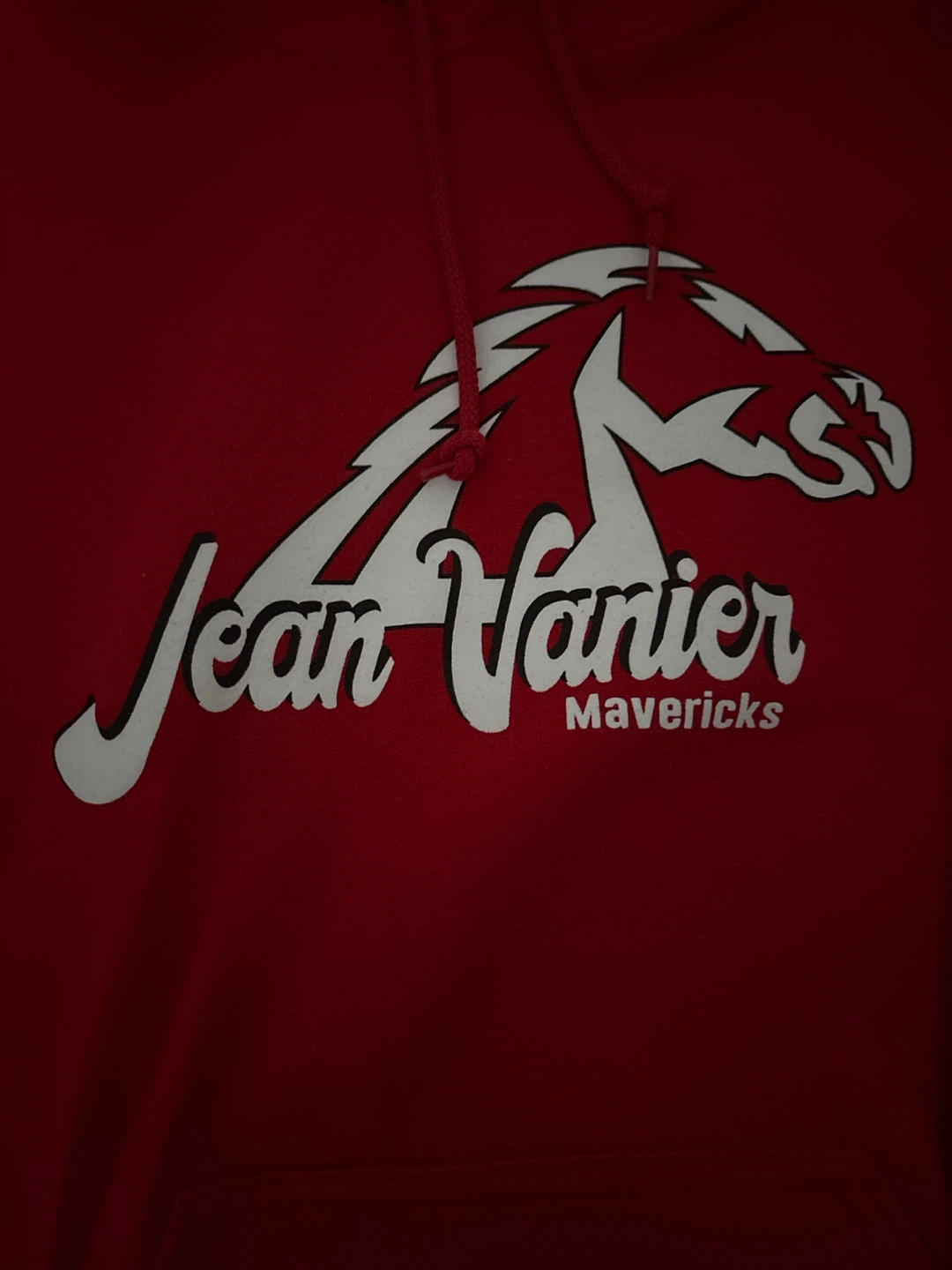 Jean Vanier Mavericks Class of 2019 Hoodie - photo 3