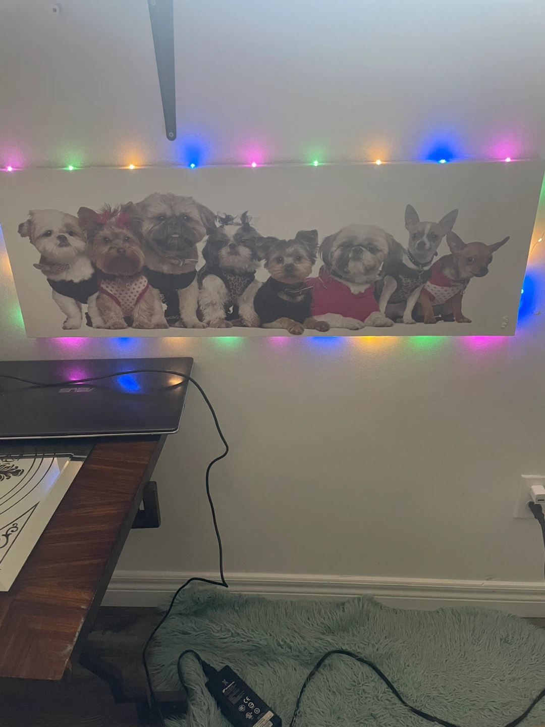 Dog Portrait Canvas Wall Art With LED Lights. - photo 2