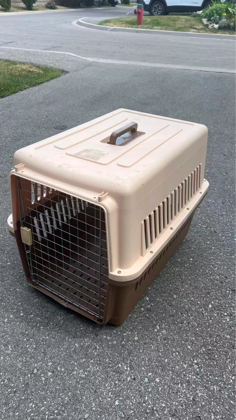 Pet Carrier for Small Animals