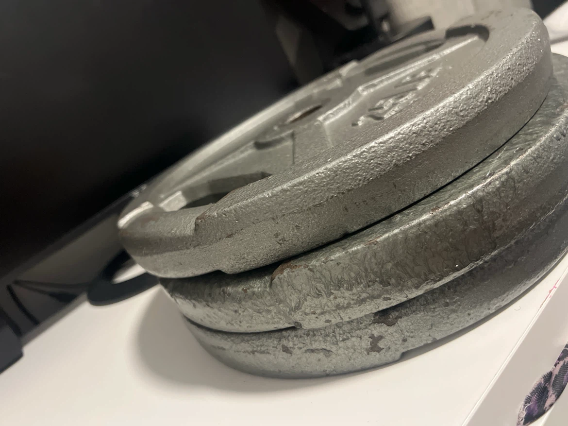 Three 25lb Cast Iron Weight Plates - photo 2