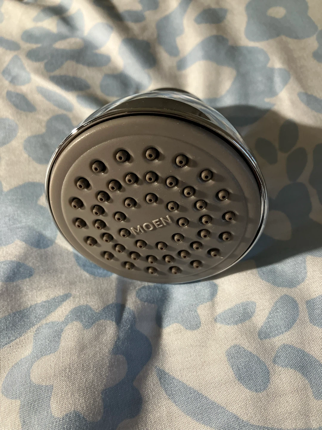 Moen Chrome Shower Head