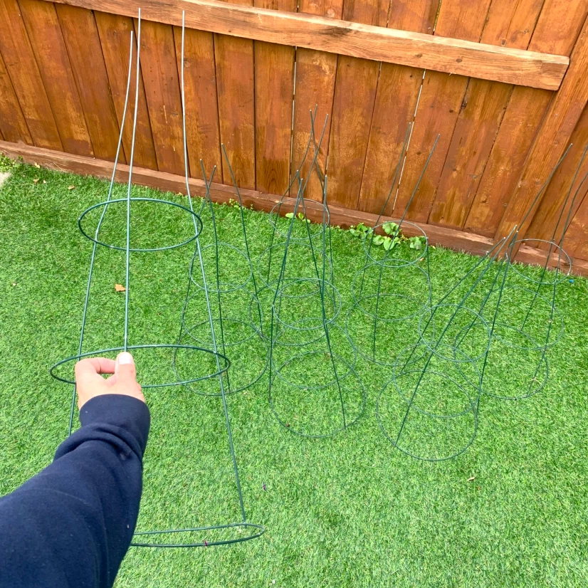 Set of 6 Green Tomato Plant Cages