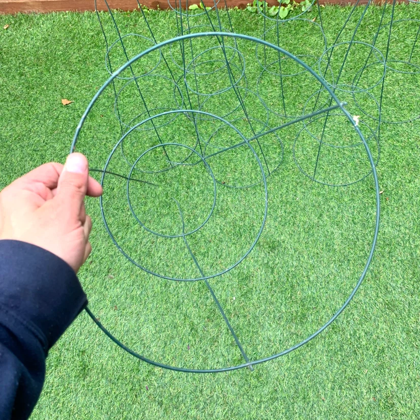 Set of 6 Green Tomato Plant Cages - photo 2