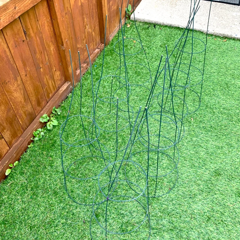 Set of 6 Green Tomato Plant Cages - photo 5