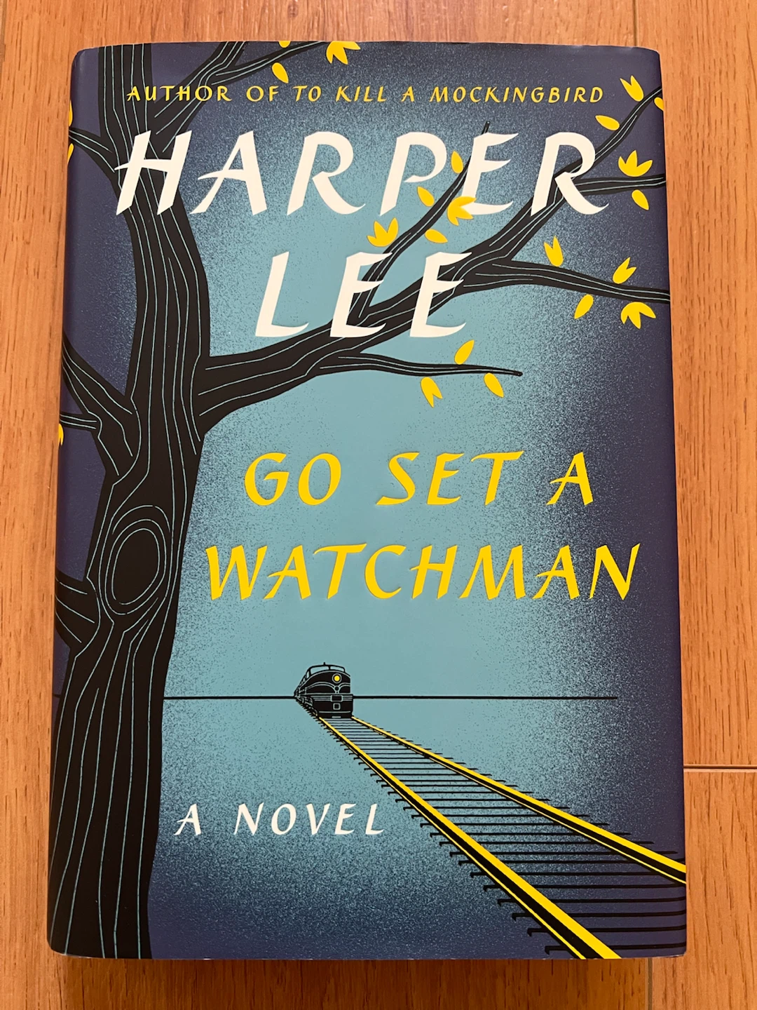 Go Set a Watchman by Harper Lee