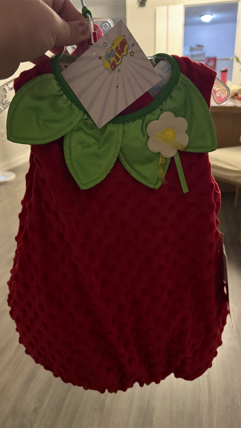 Fun of a Kind Strawberry Costume Size 24M - photo 2