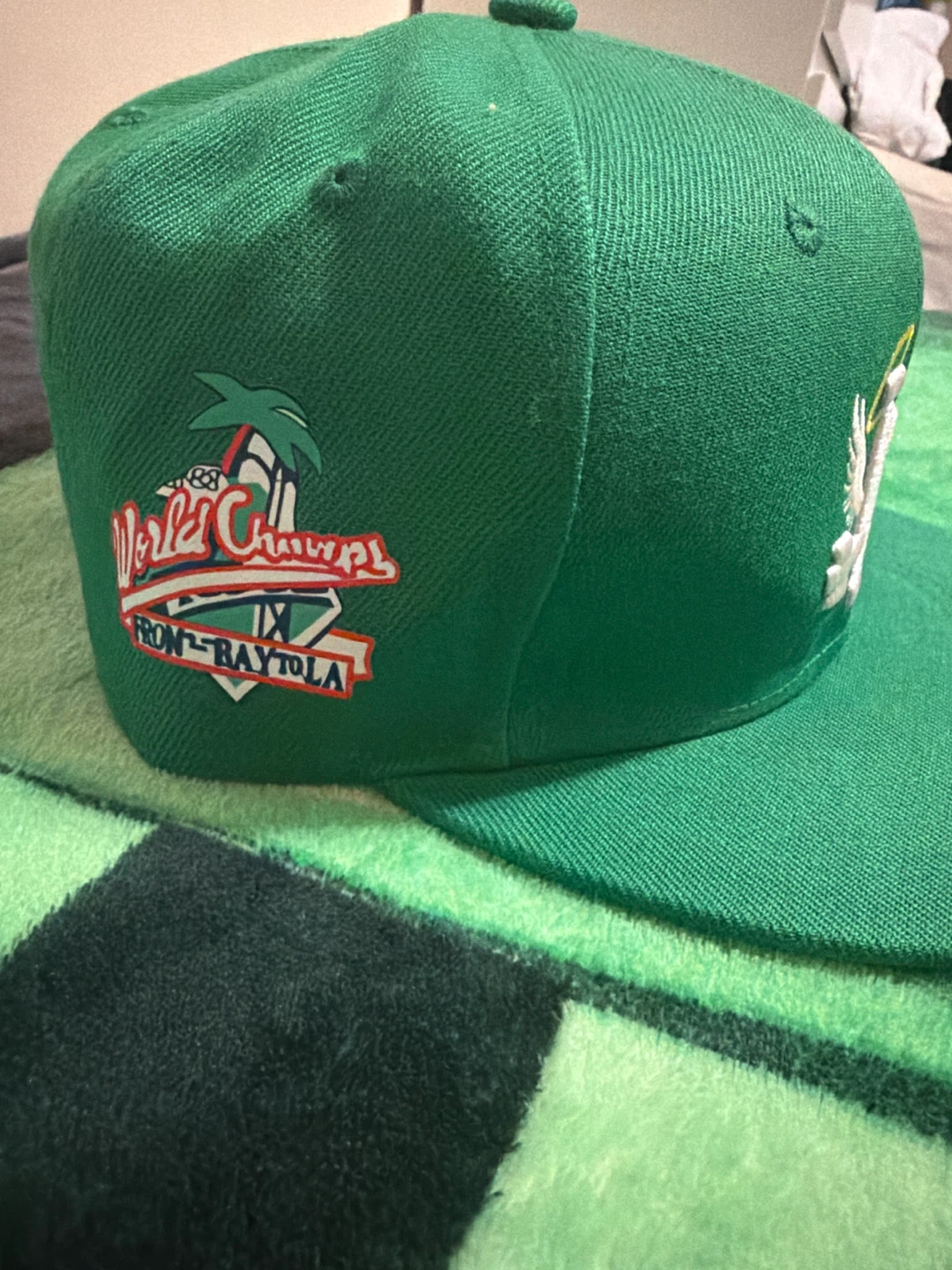 La world champs hat - photo 3