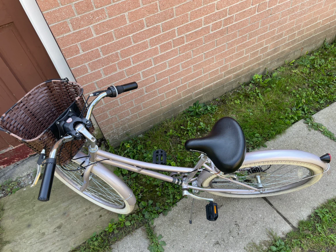 bike/ bicycle & delivery - photo 3