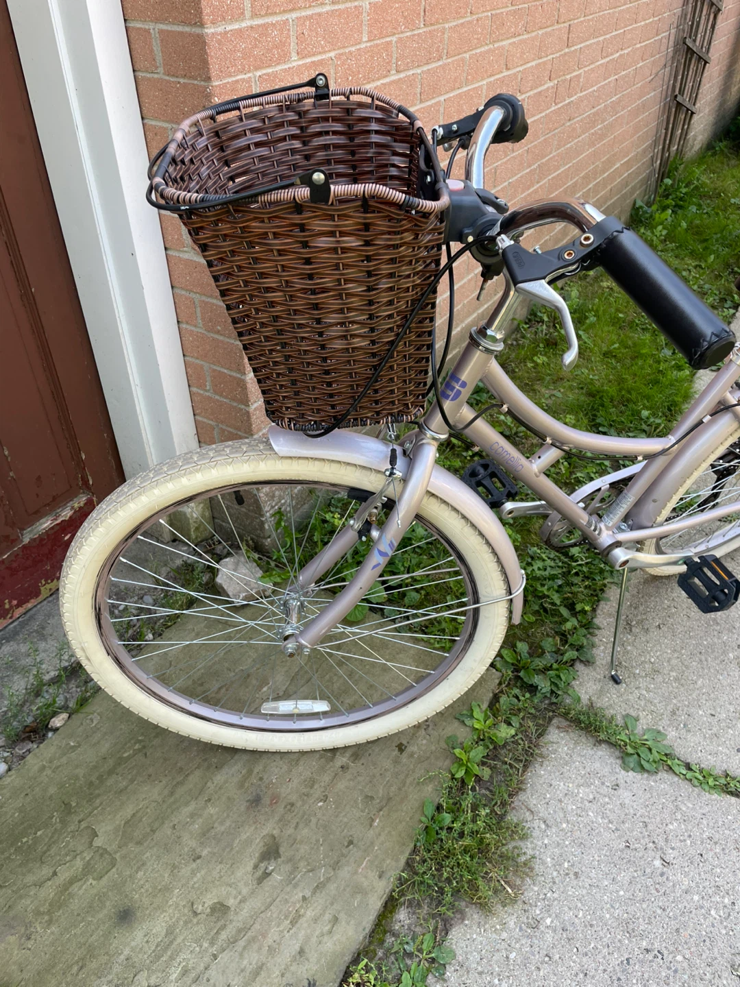 bike/ bicycle & delivery - photo 5