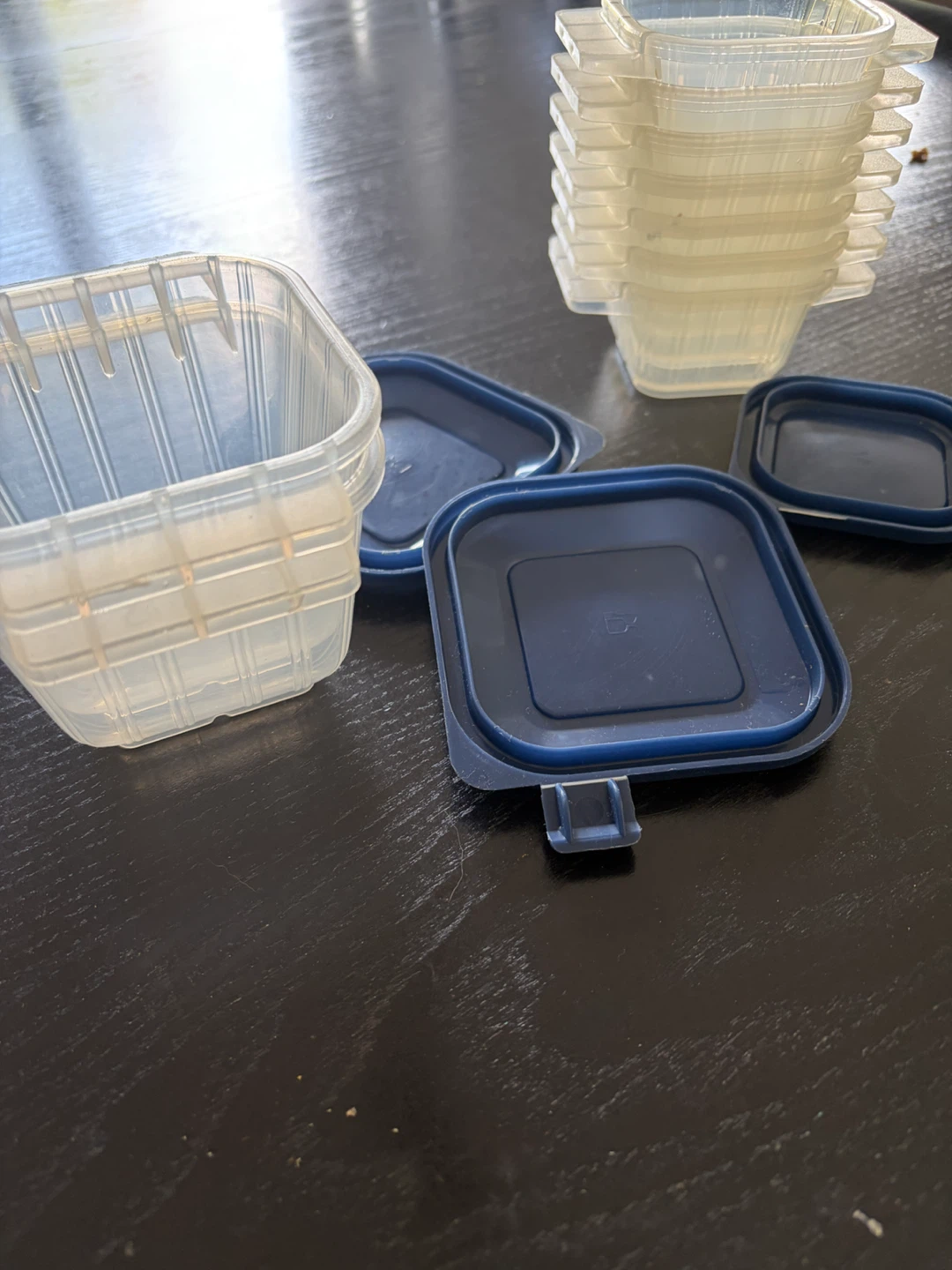 Set of 9 Food Storage Containers