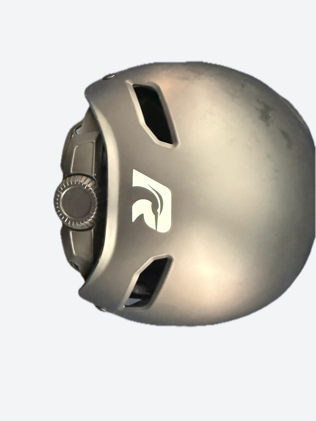 Raleigh Adult Helmet