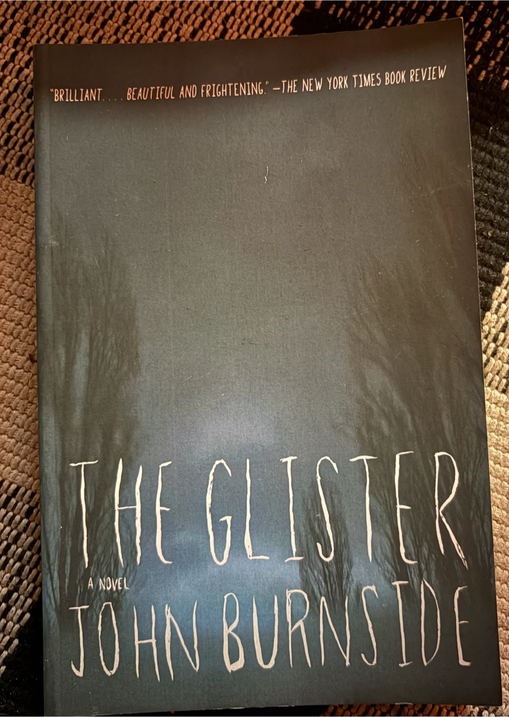 The Glister by John Burnside