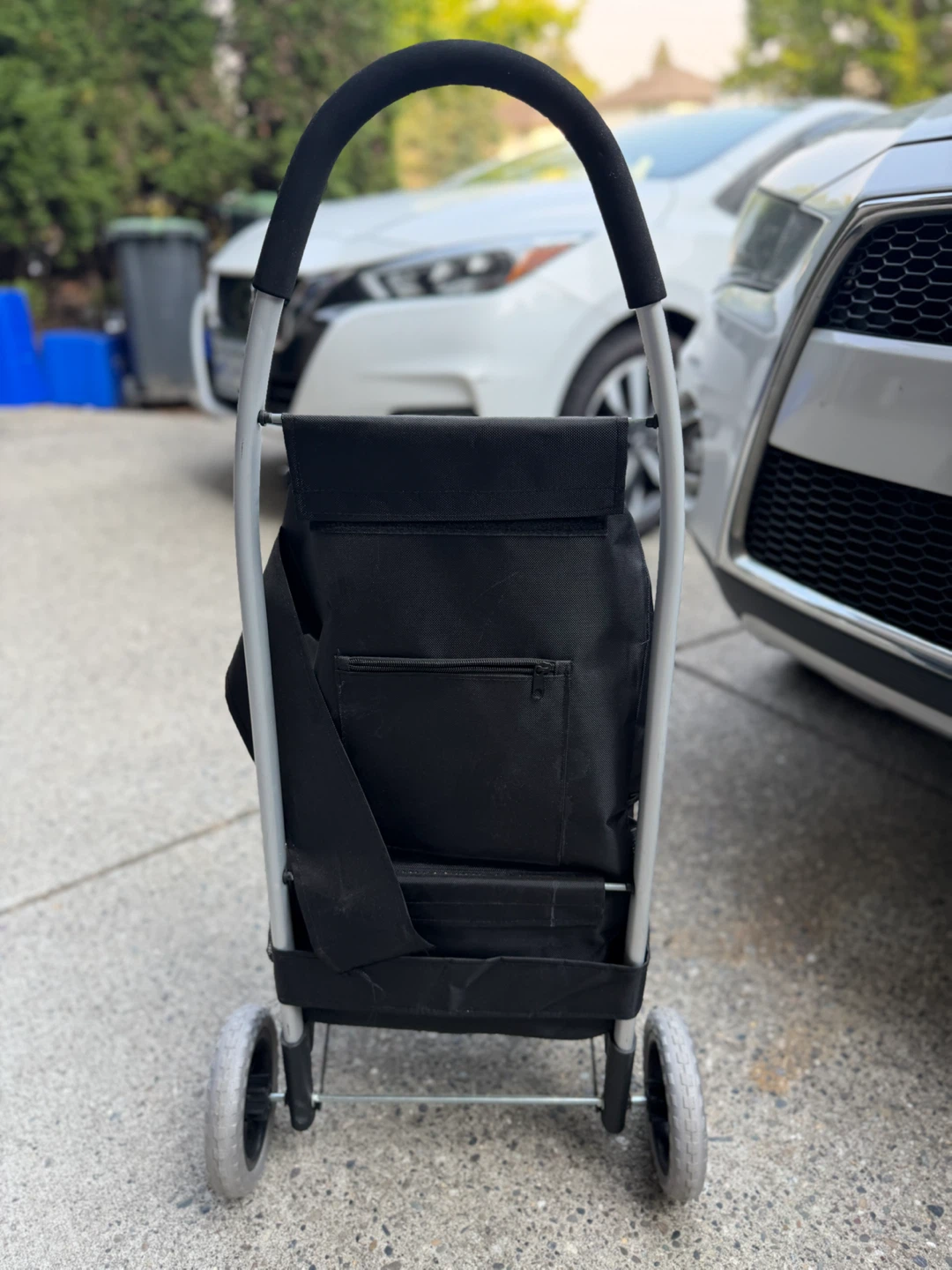 Black Rolling Shopping Cart