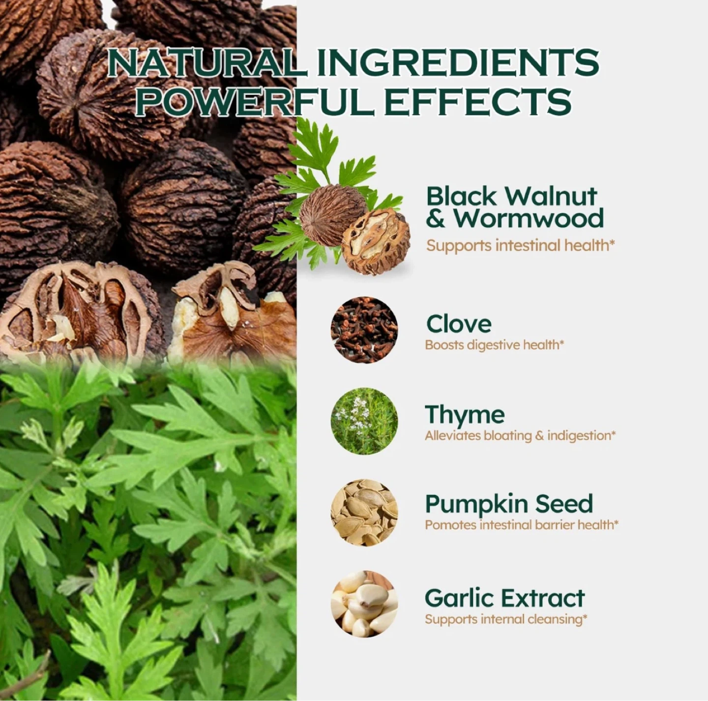 ORGANIHERBENCE Black Walnut & Wormwood Extract Liquid - photo 2
