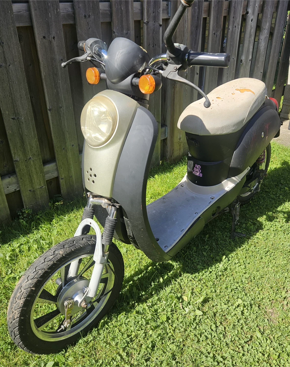 Electric Scooter/Moped