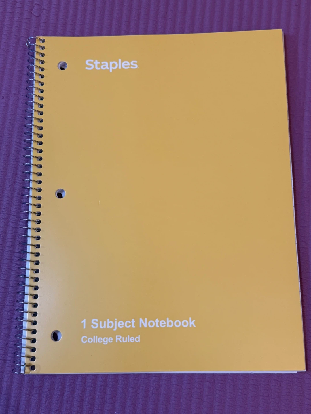 NEW✨2 College Ruled Notebooks - photo 3