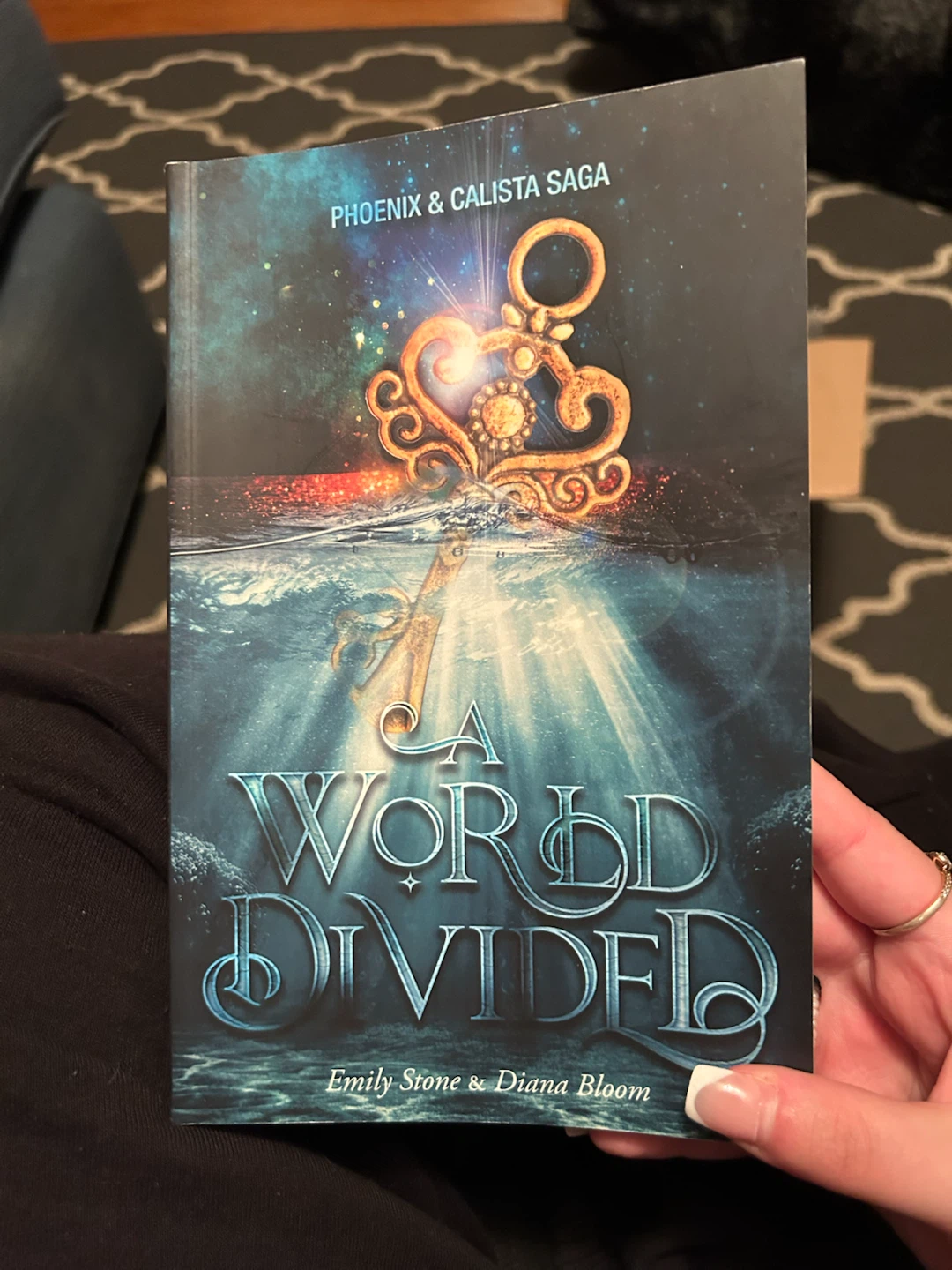 A World Divided by Emily Stone and Diana Bloom #freecycle