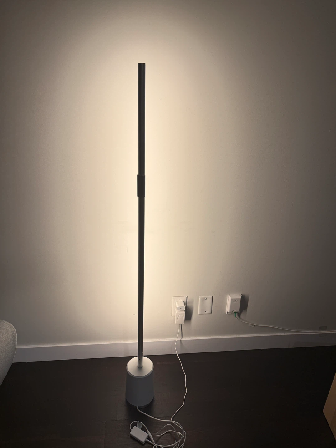 Govee Smart LED Floor Lamp - photo 2