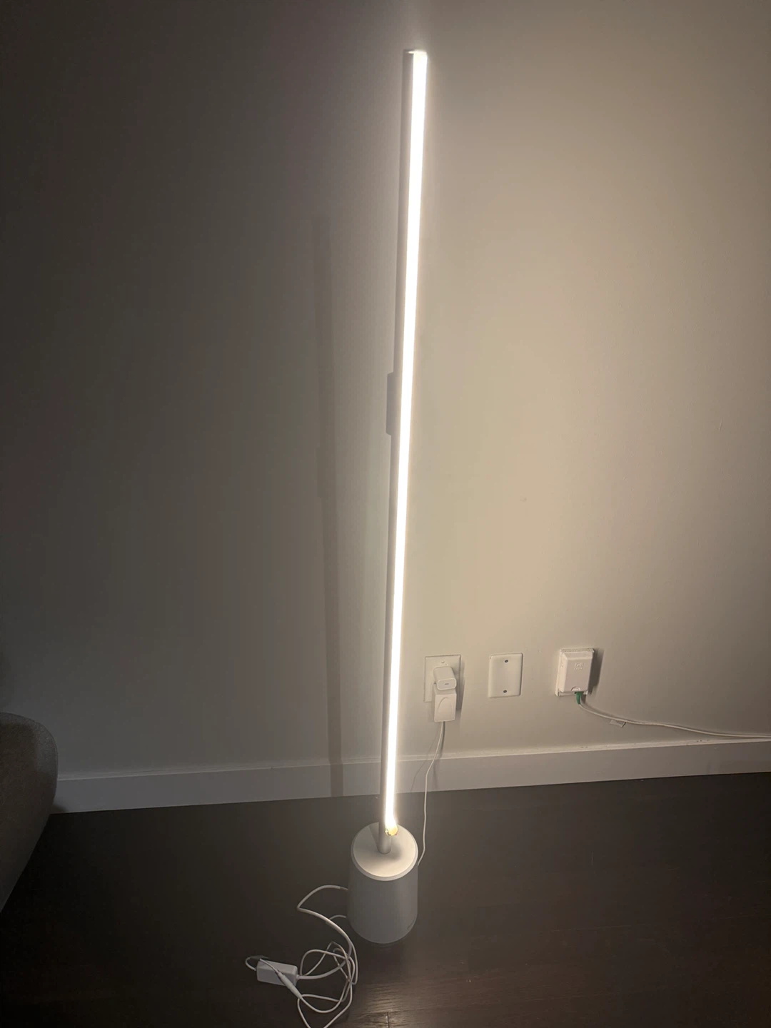 Move out sale Govee  smart LED Floor Lamp