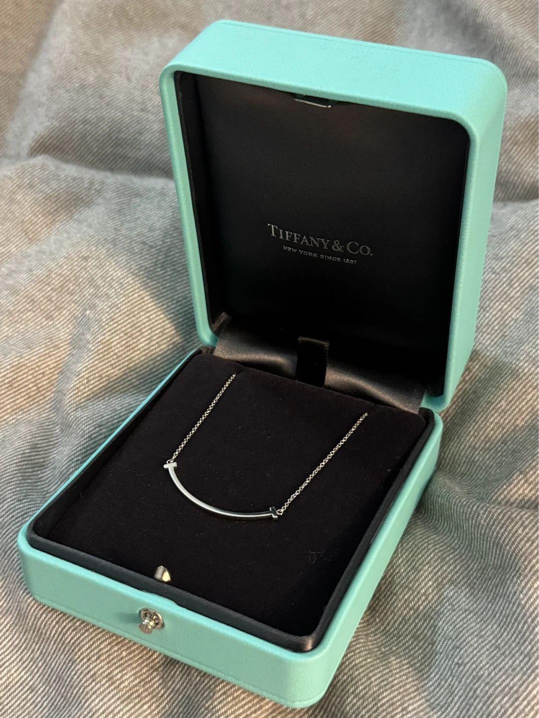 Tiffany & Co White Gold Smile Necklace with Tiffany Blue Box