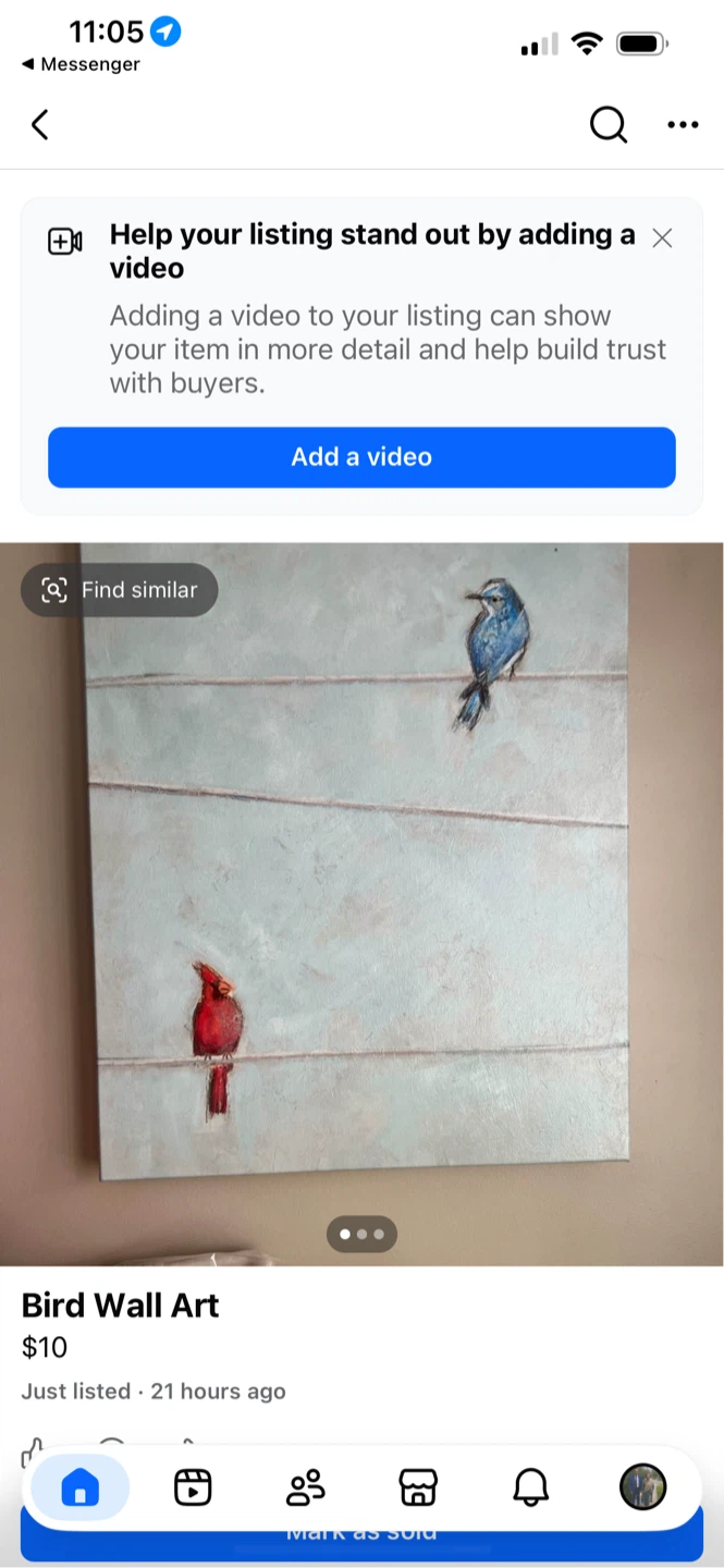 Bird Wall Art Canvas