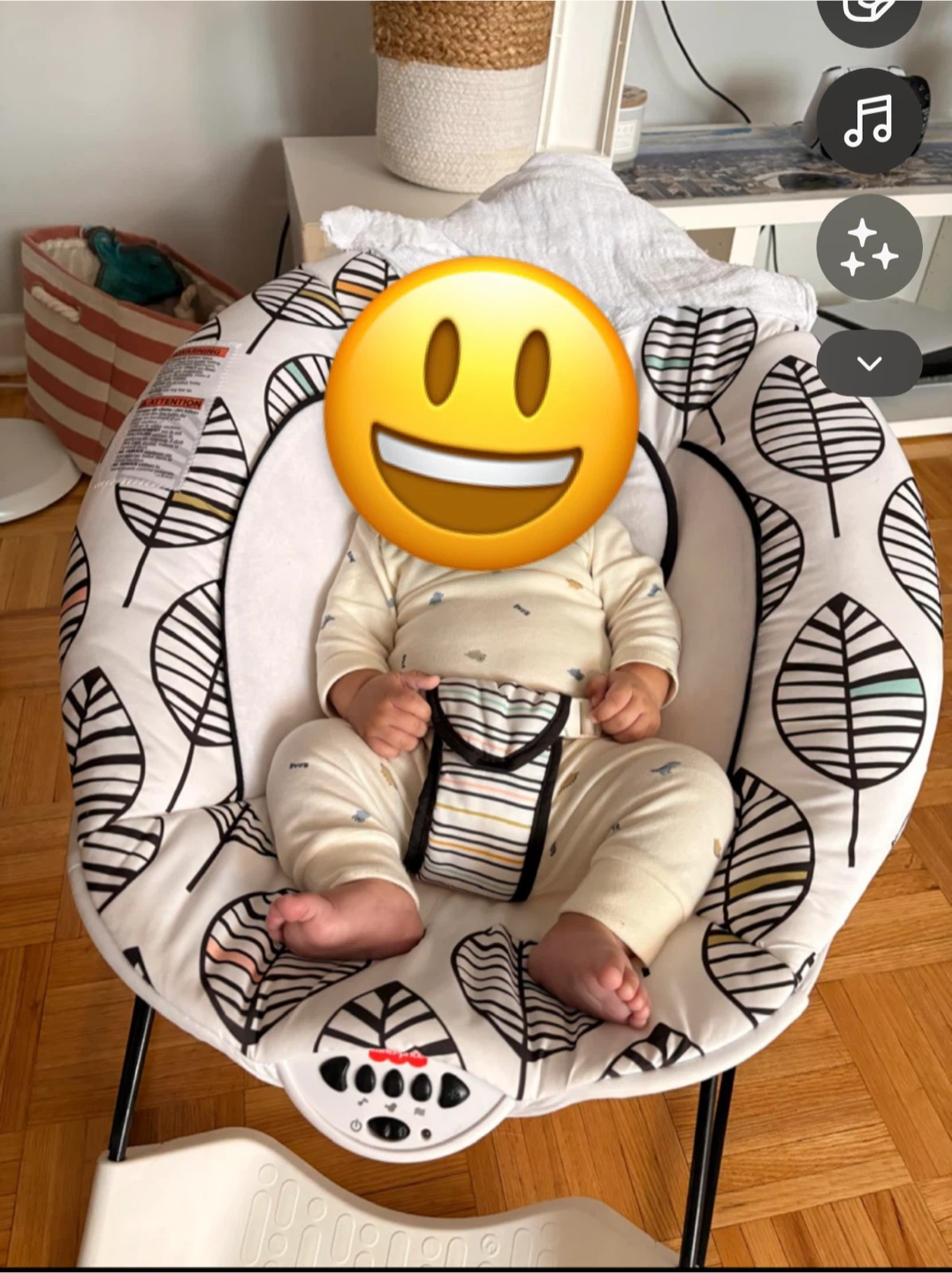 Fisher-Price Infant Bouncer
