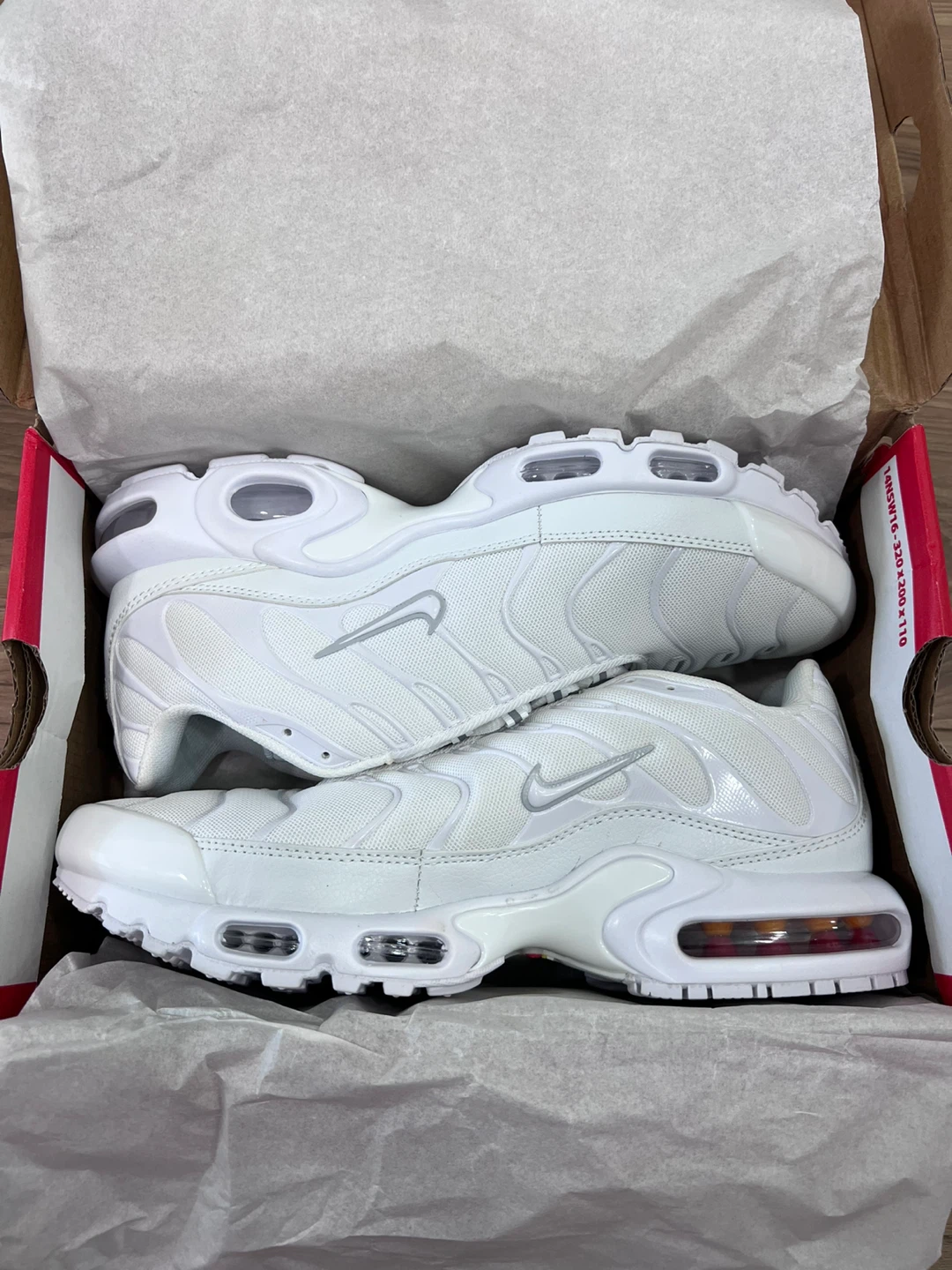 Nike Air Max Plus White - photo 5