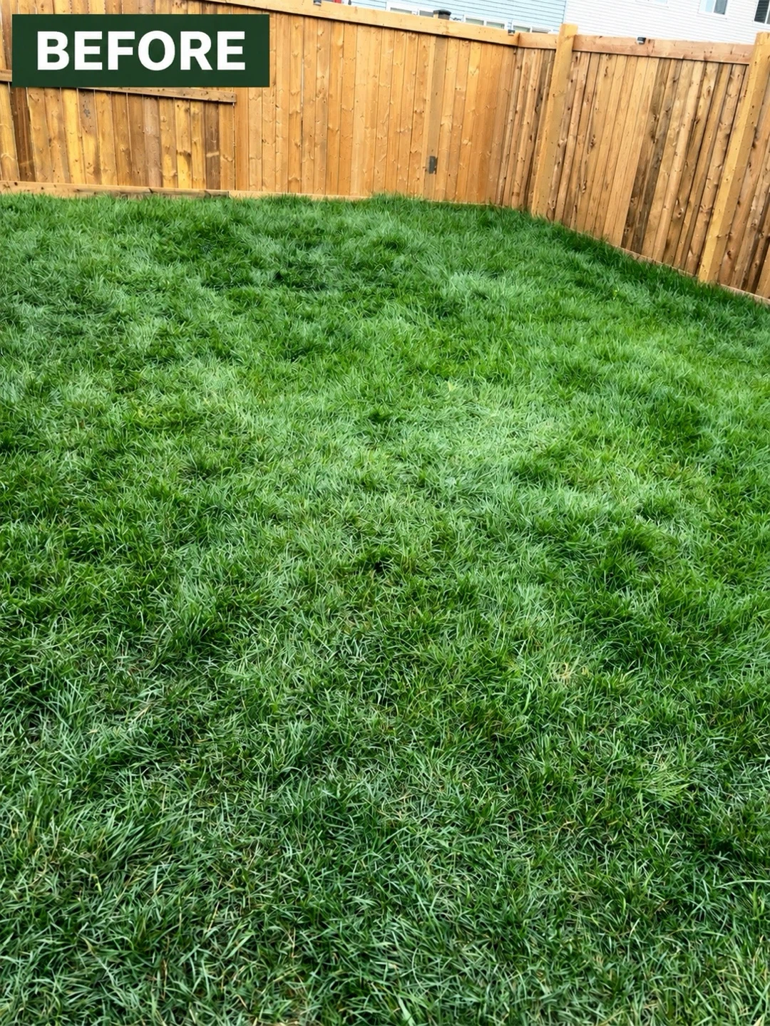 Lawn care and Property Management - photo 2