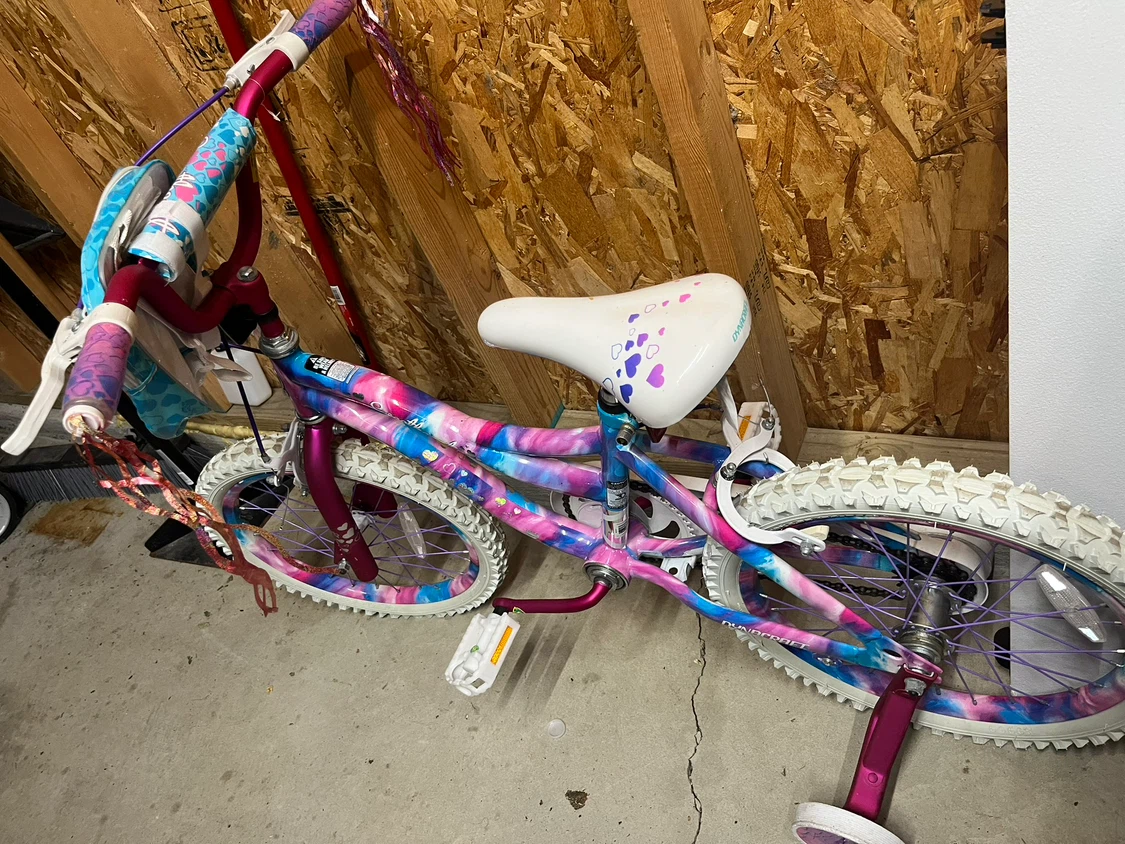 Dynacraft Sweetheart 16-inch Kids Bike - photo 2