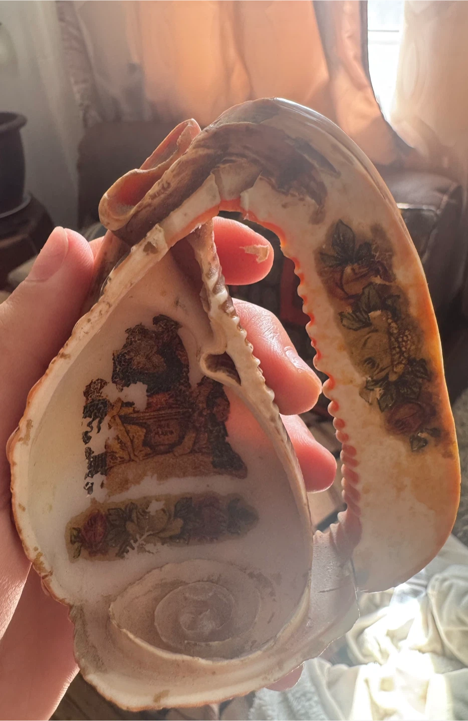 Decorative Decorated Cowrie Shell - photo 3