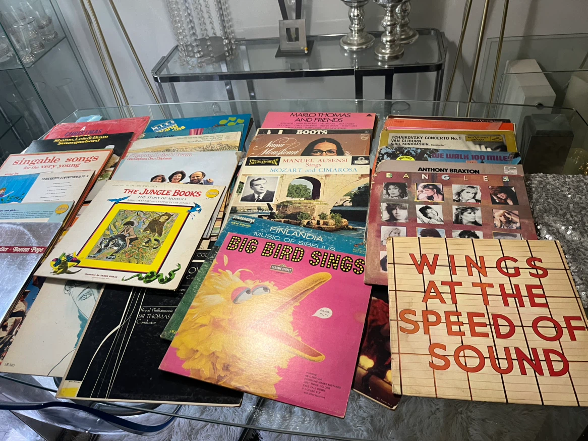 Collection of Vintage Vinyl Records - photo 4