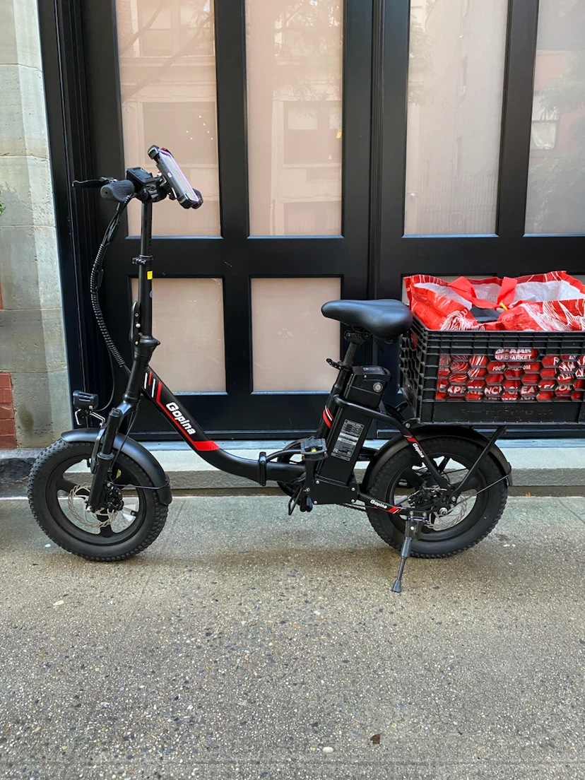 Gopina Folding Electric Bike 16 inch wheel