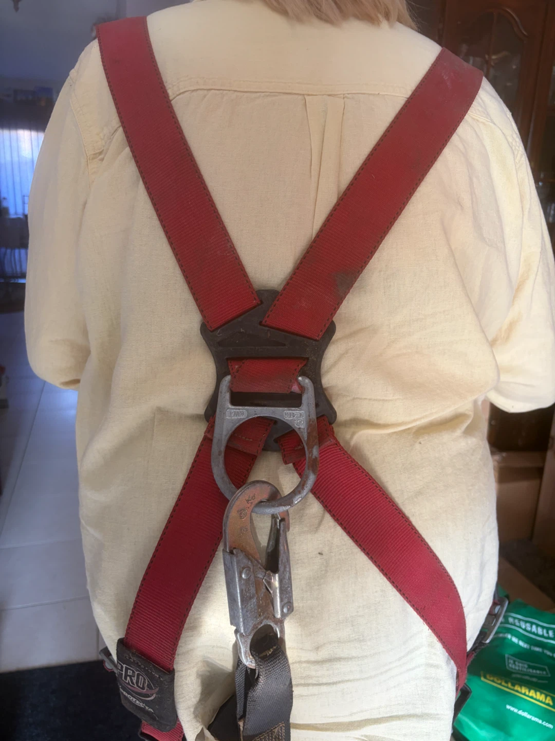 Protecta Fall Protection Harness
