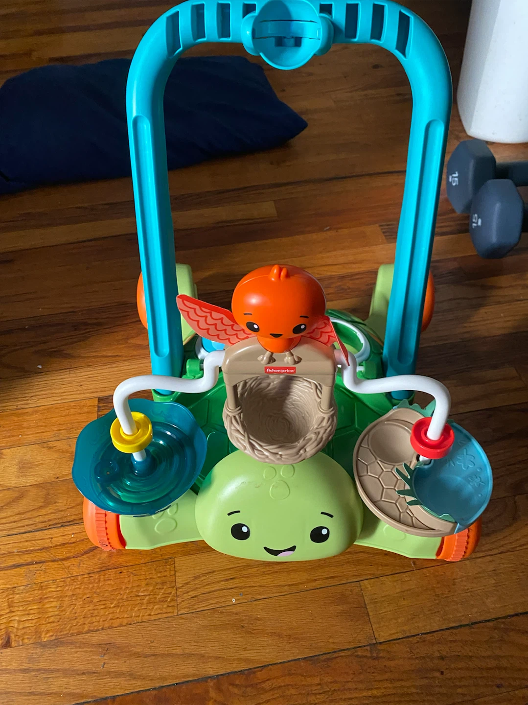 Fisher-Price Turtle Baby Walker