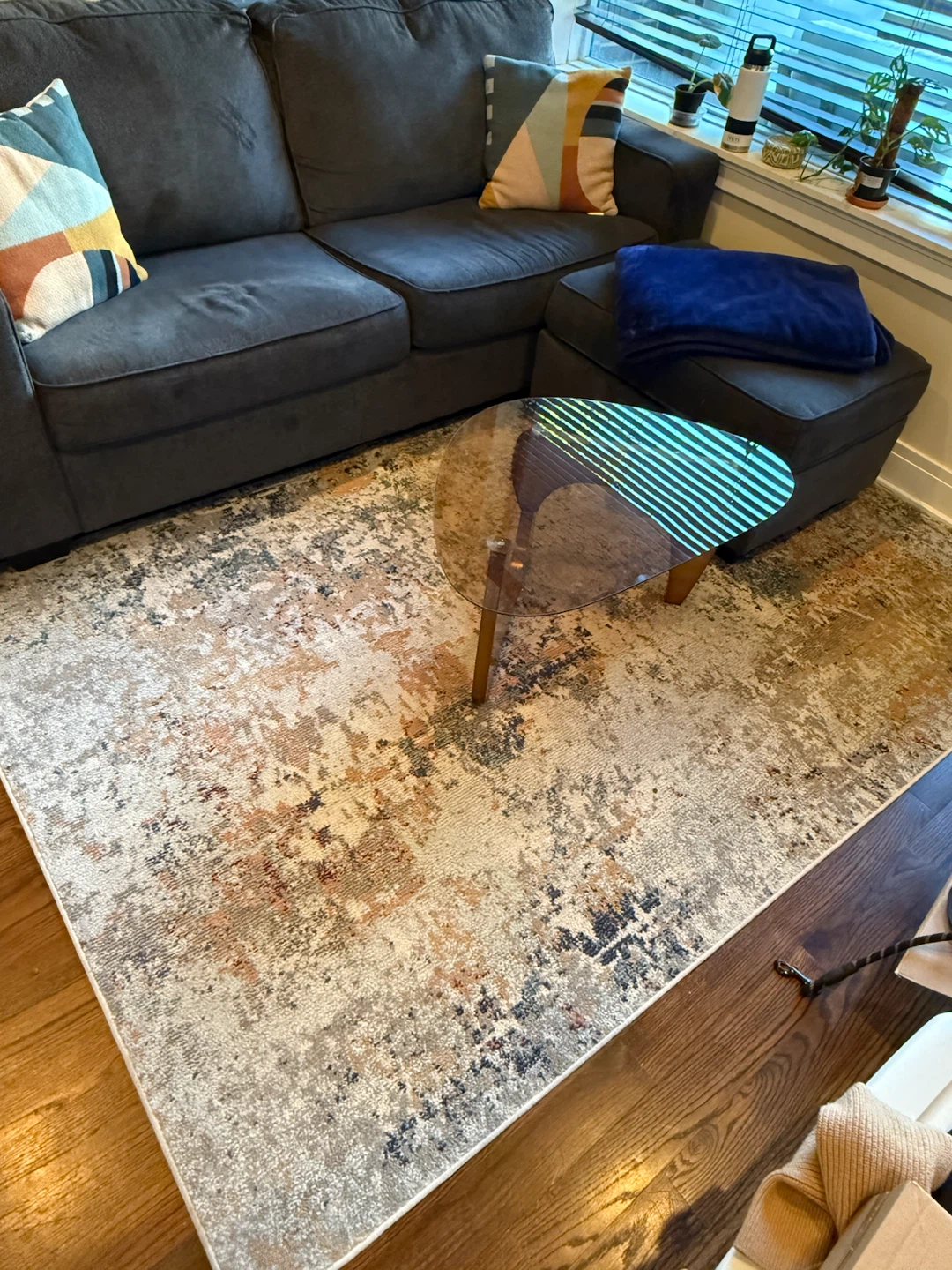 Multi-colored Area Rug