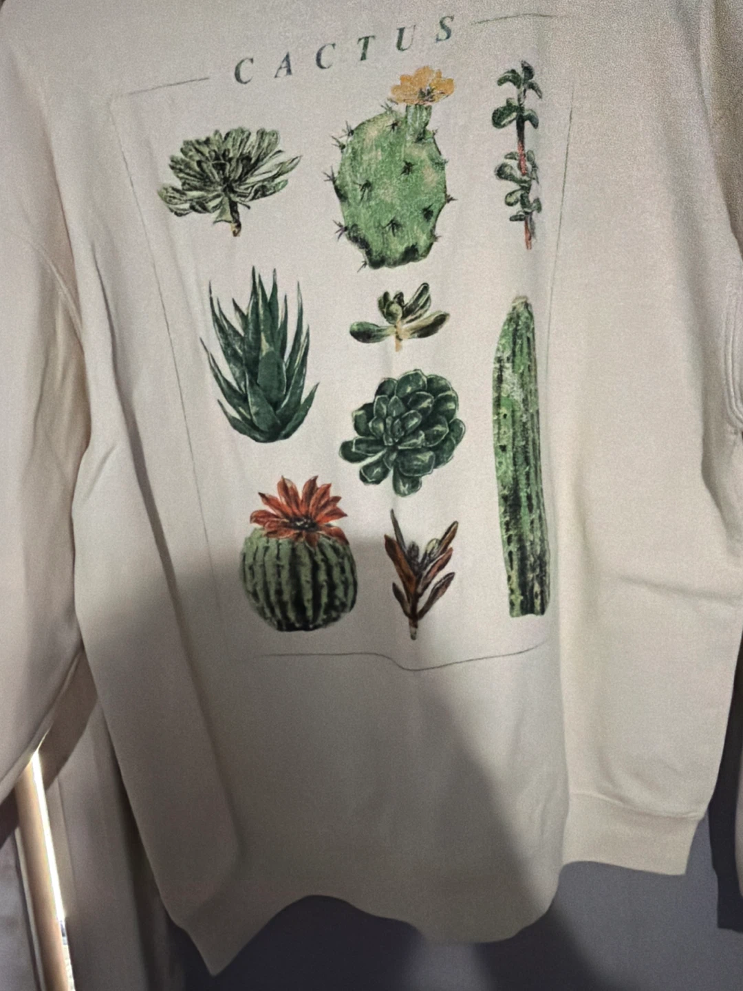 Cold Crush Cactus Graphic Sweatshirt