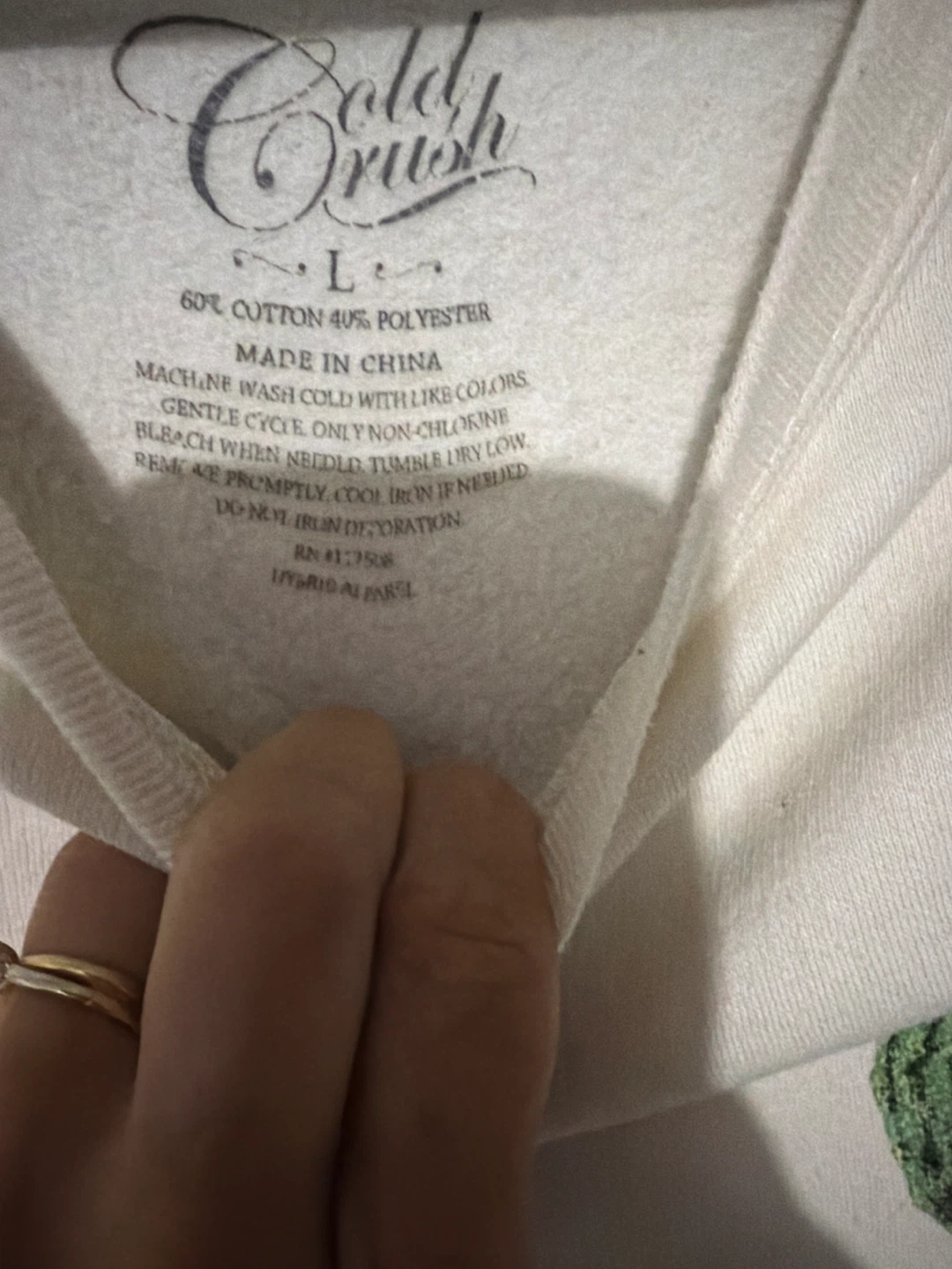 Cold Crush Cactus Graphic Sweatshirt - photo 4