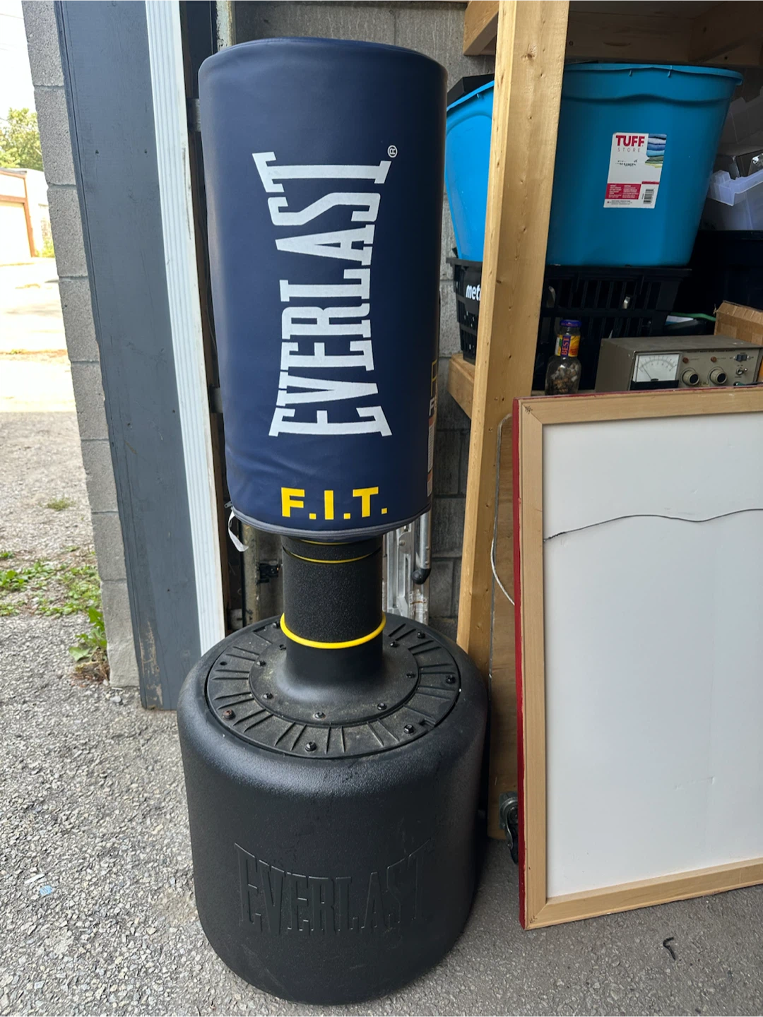 Everlast Freestanding Punching Bag