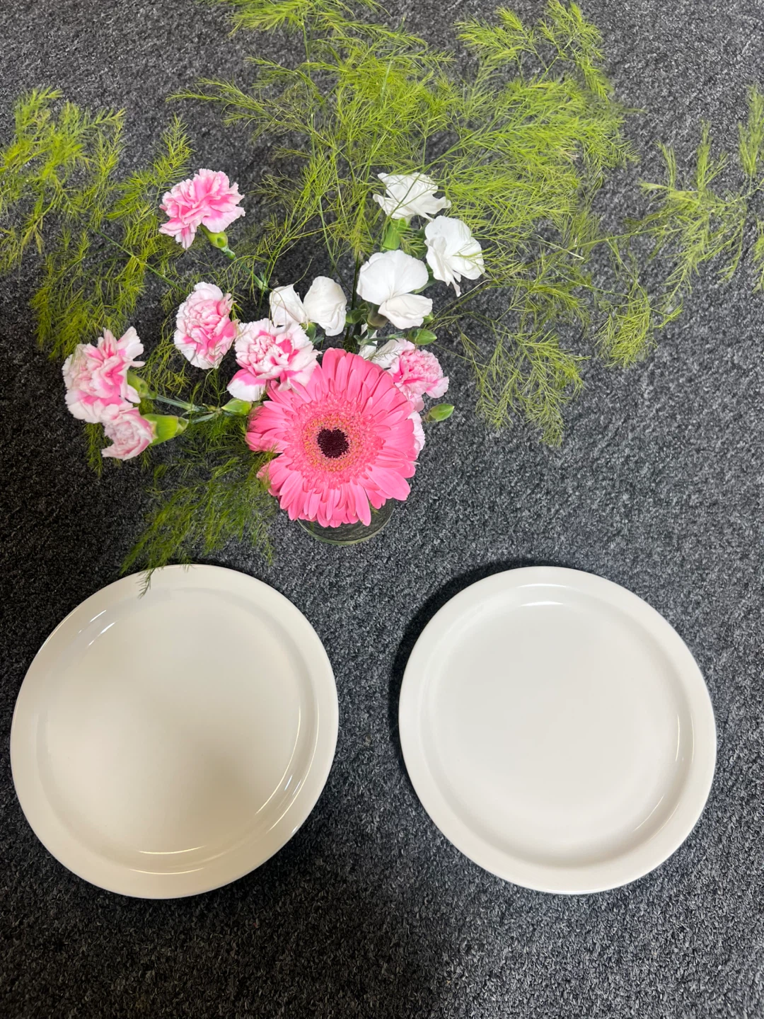 Set of 2 Tuxton White Ceramic Plates