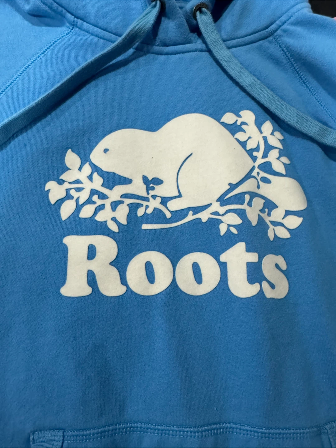 Roots Blue Hoodie