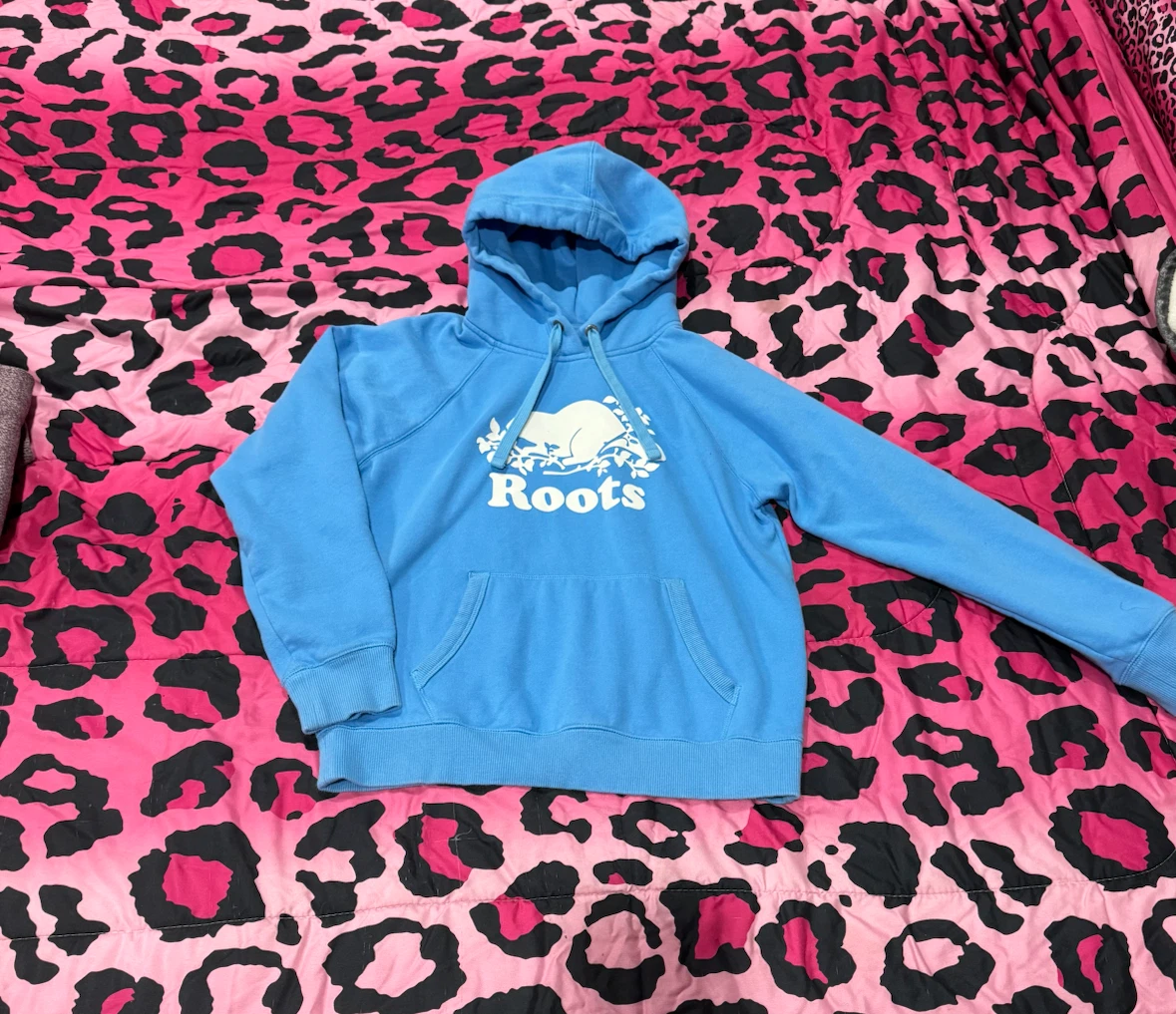 Roots Blue Hoodie - photo 3
