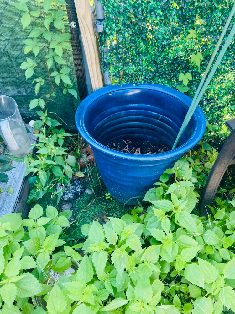 Large Blue Plastic Garden Pot