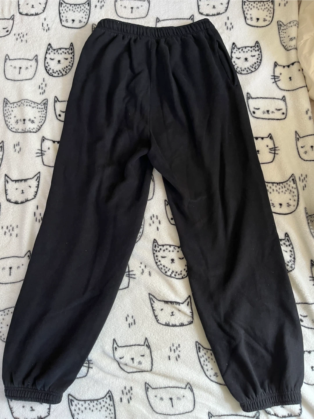 Aritzia Sweatfleece - Mega Fit Joggers - photo 3