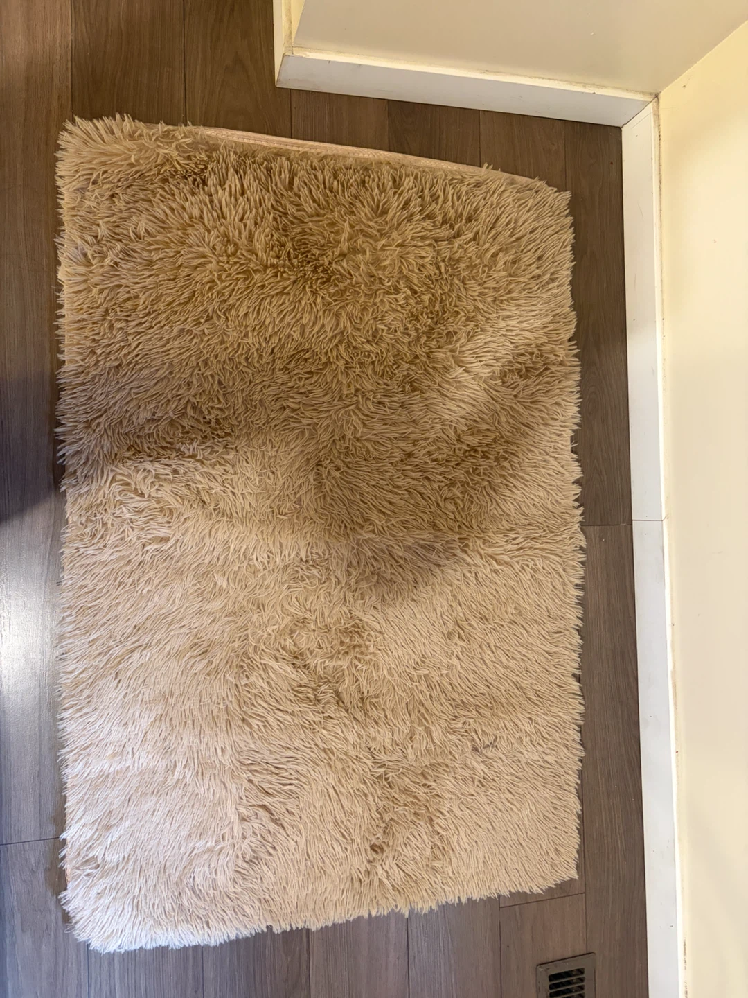 Beige Shaggy Area Rug
