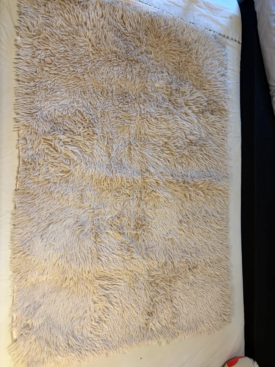 Beige Shaggy Area Rug - photo 2