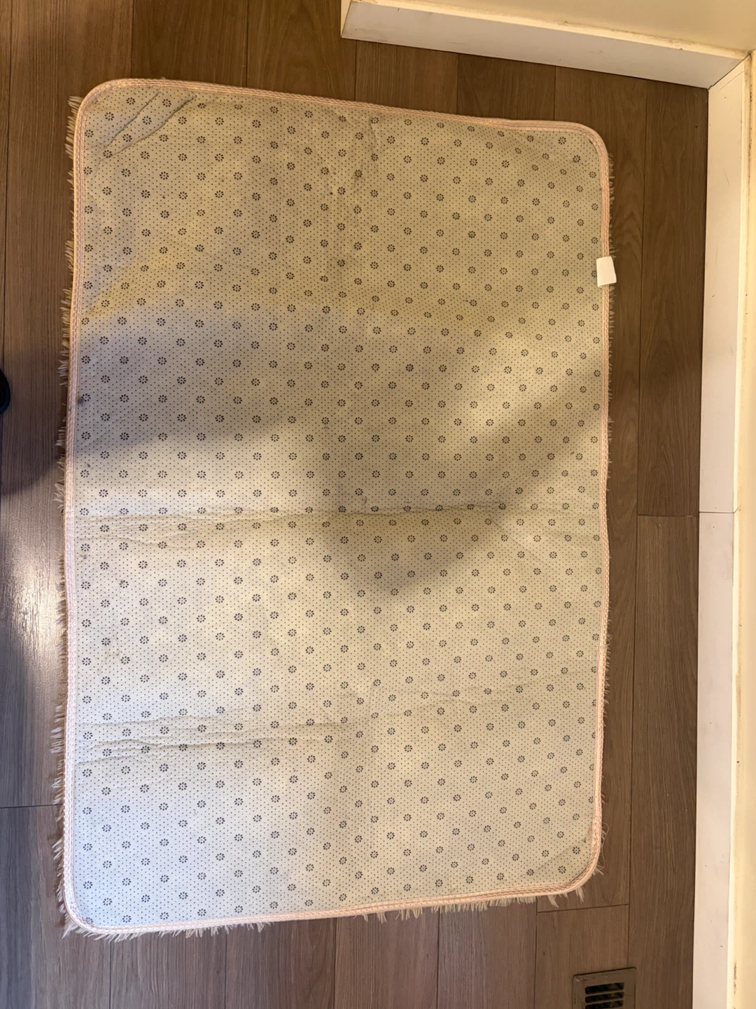 Beige Shaggy Area Rug - photo 3
