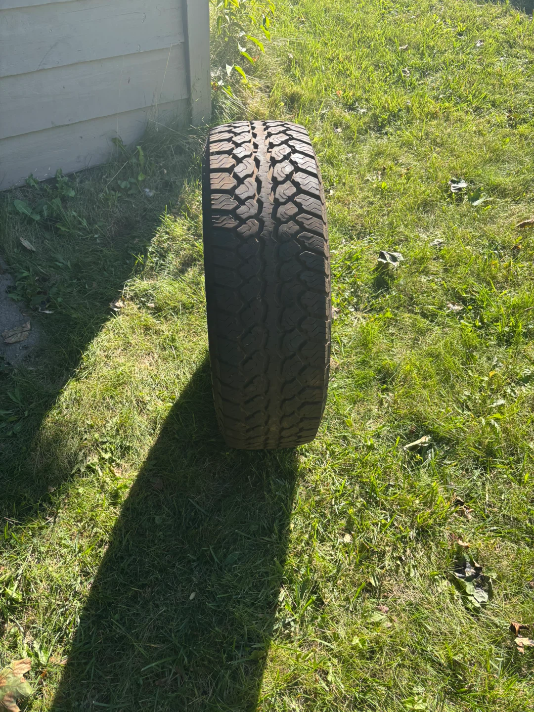 Motomaster Total Terrain A/T2 Tire 225/70R16