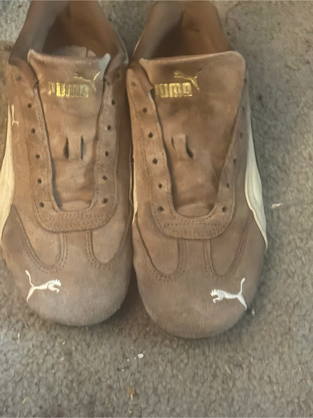 Puma Women's Suede Sneakers Brown