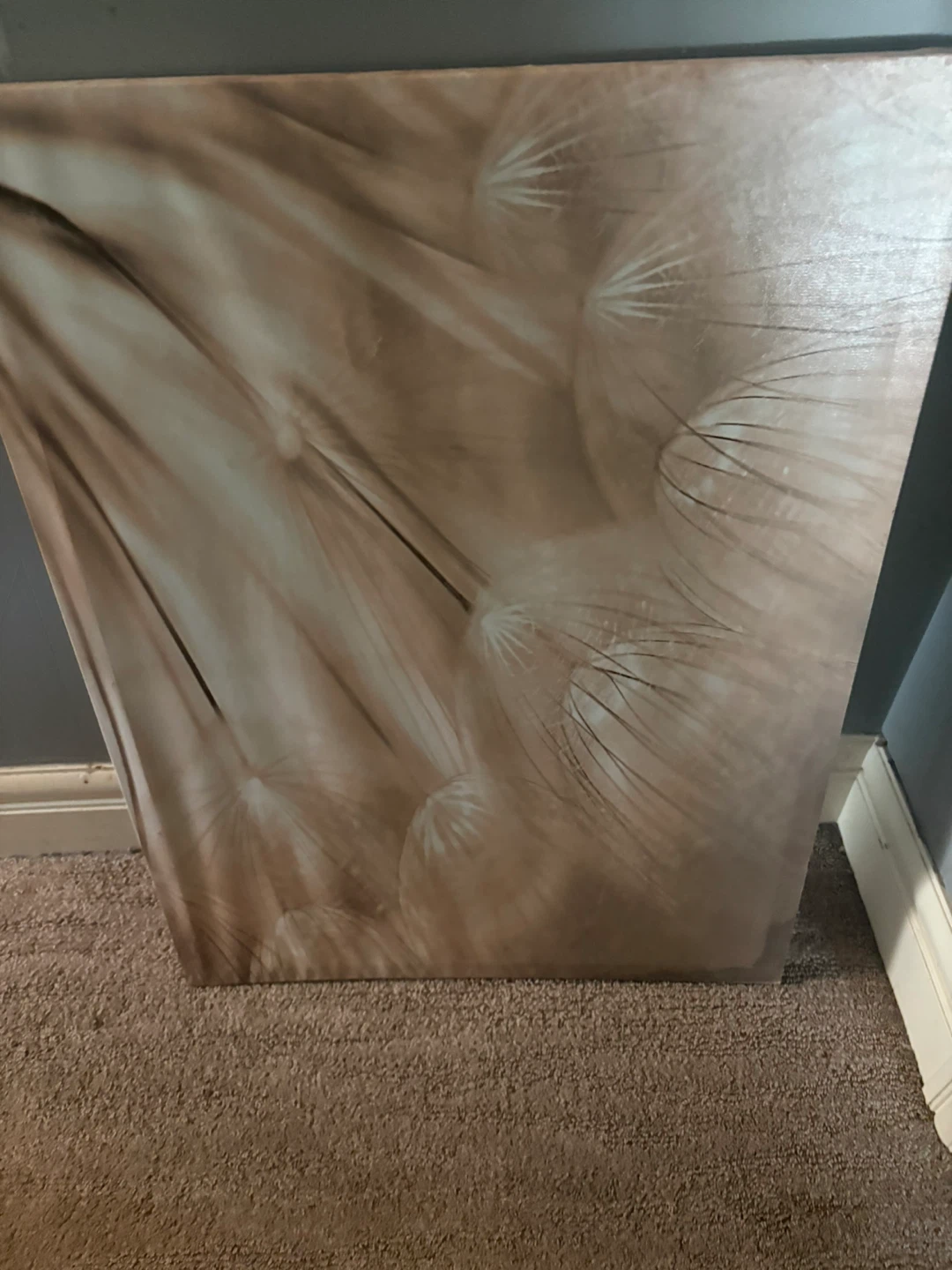 Dandelion canvas wall art