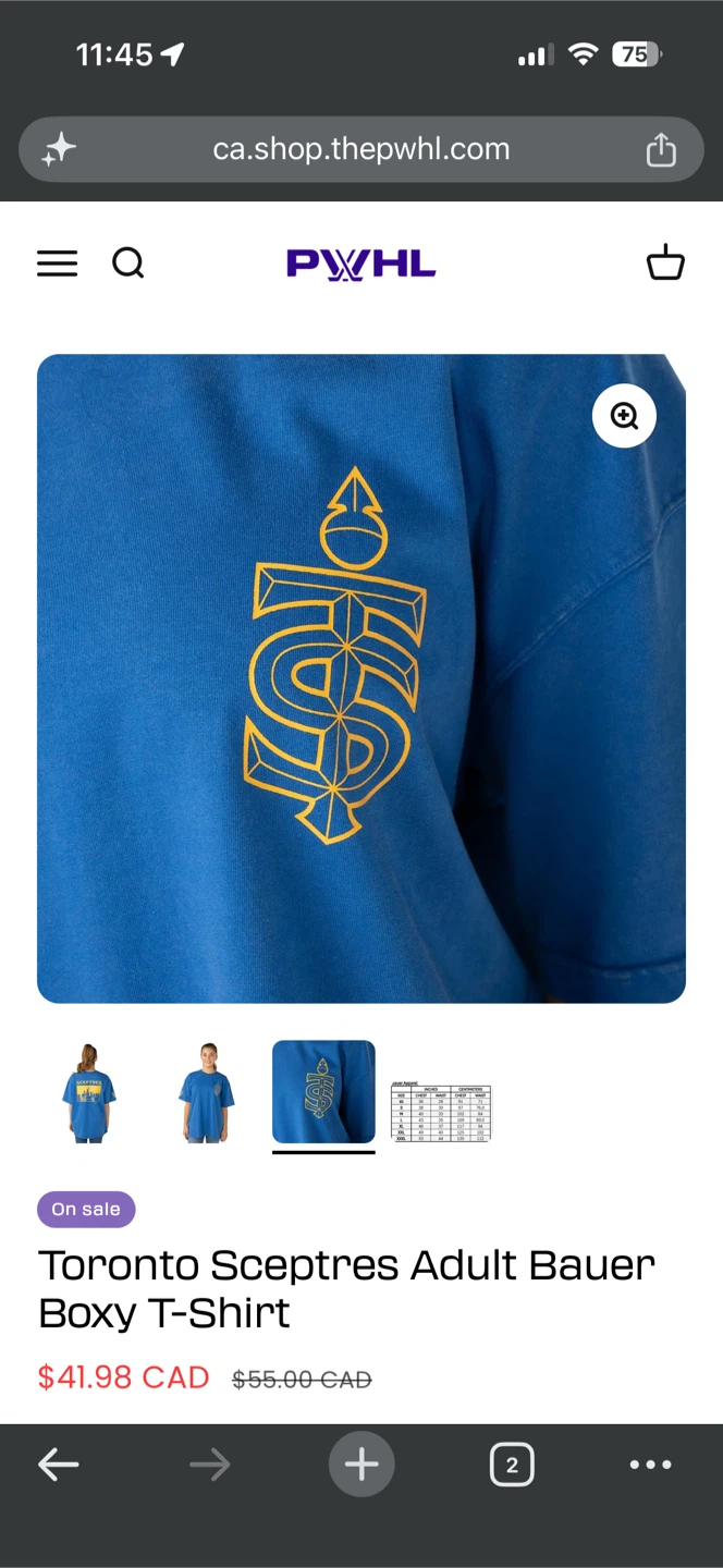 Toronto Sceptres Boxy T-Shirt - photo 3